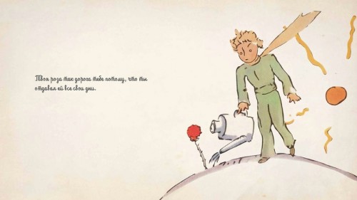 Маленький принц поливает розу, иллюстрация автора