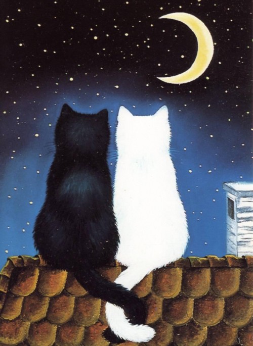 Кот и кошка сидят рядом на крыше