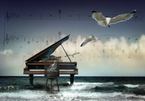 Коллаж из фото - рояль, море, чайки, ноты