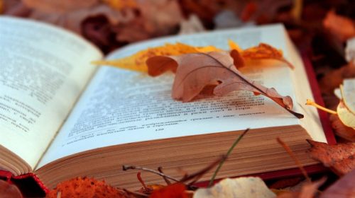 «Осень – это сны листопада»: подборка цитат и высказываний о золотом времени года