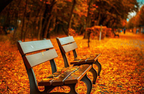 «Осень – это сны листопада»: подборка цитат и высказываний о золотом времени года