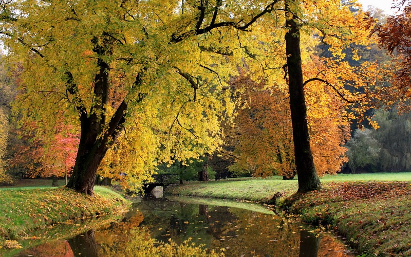 Красивые Осенние Фото В Инстаграм